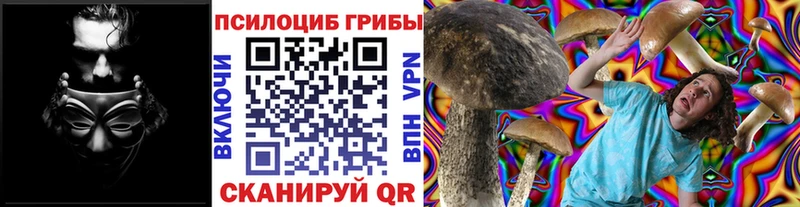 Галлюциногенные грибы мицелий нарко площадка как зайти Ардатов
